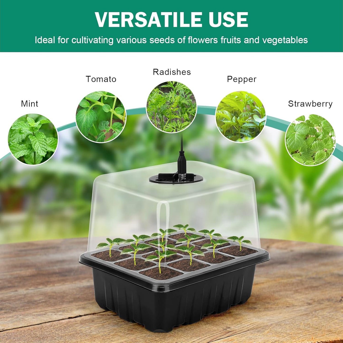 Plant Growth Starter Kit, Complete with Lighting