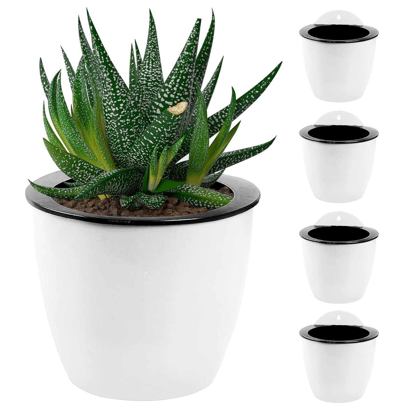 Modern Self-Watering Hanging Planter, Wall-Mounted Design