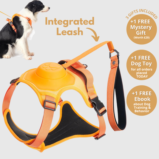 3 in 1 Dog Harness with Built-In Retractable Leash