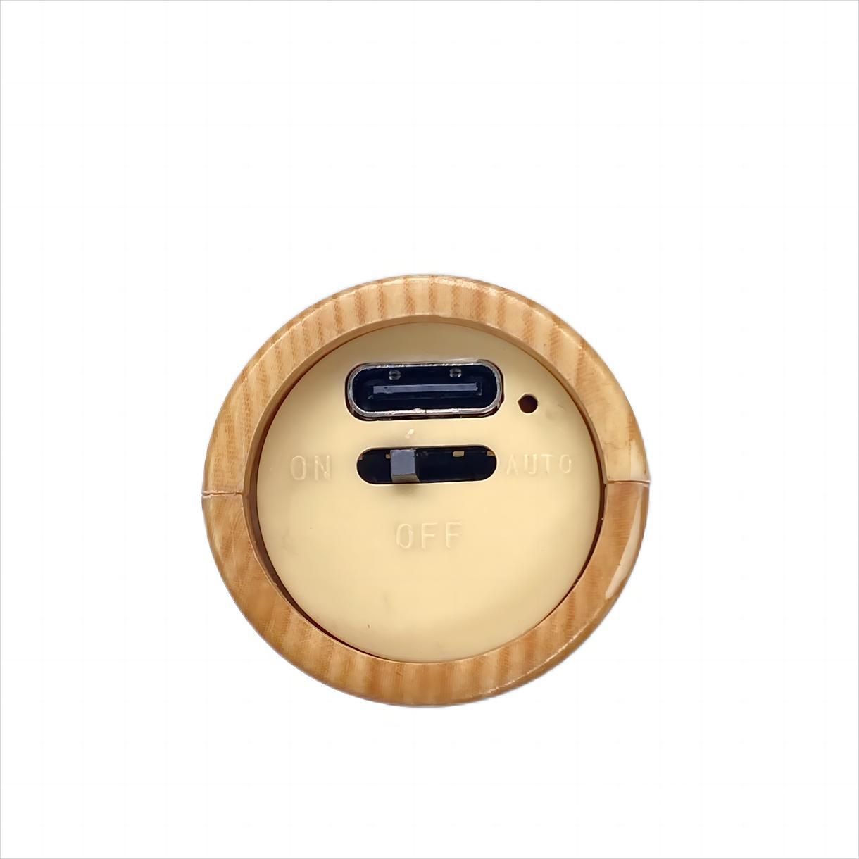 Flexible Wall Lamp, Removable Design