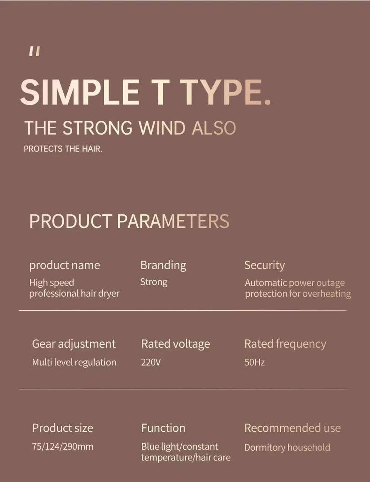 High-Power Hair Dryer, Dual Temperature Settings