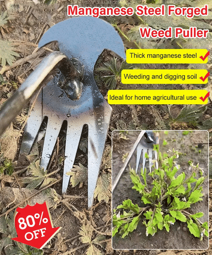 Garden Weed Remover Tool