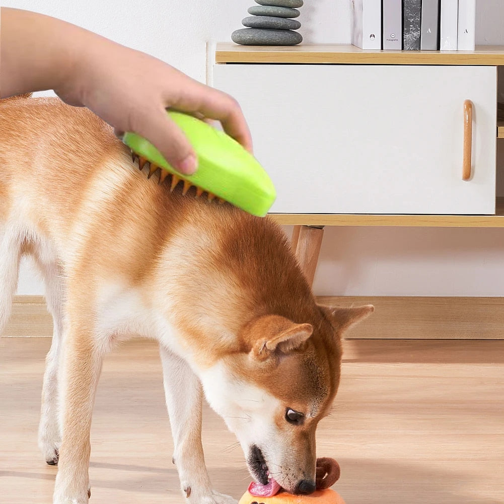 Brosse à vapeur pour chiens
