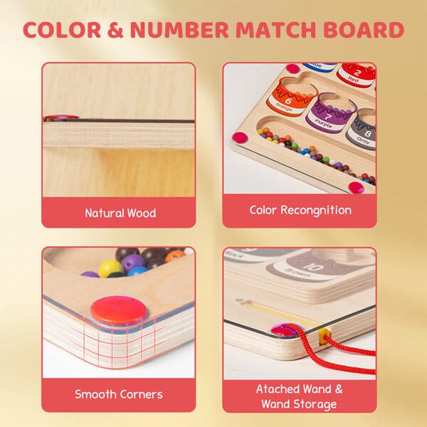 Interactive Magnetic Color and Number Activity, Educational Fun