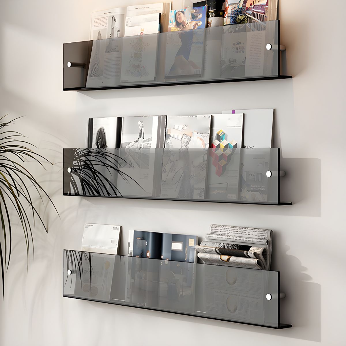 Modern Acrylic Wall-Mounted Bookcase  Floating Shelf