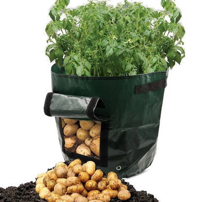 Reusable Potato Planting Bag with Viewing Window