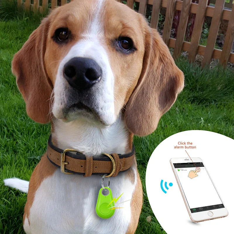 Smart Pet GPS Tracker, Compact Design