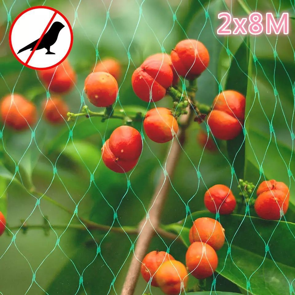 Garden Plant Protection Net, Green Barrier Against Pests and Animals