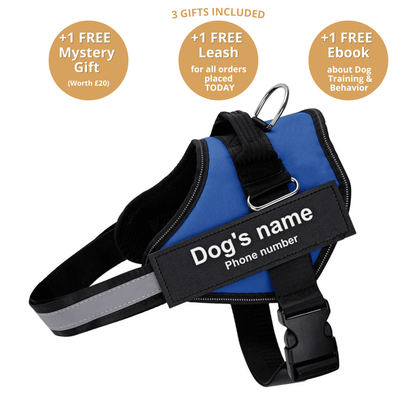 Personalized No-Pull Dog Harness  Waterproof, Reflective & Customizable