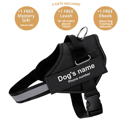 Personalized No-Pull Dog Harness  Waterproof, Reflective & Customizable