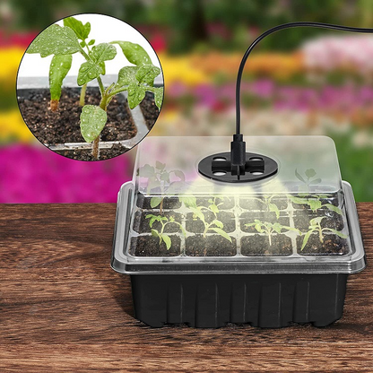 Plant Growth Starter Kit, Complete with Lighting