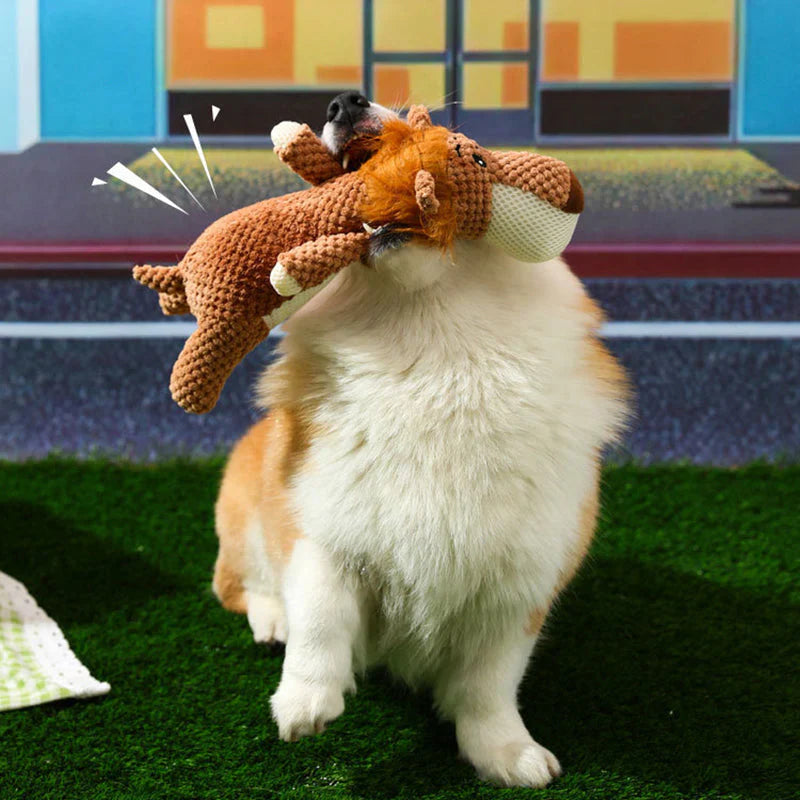 Durable Dog Toy, Designed for Strong Teeth