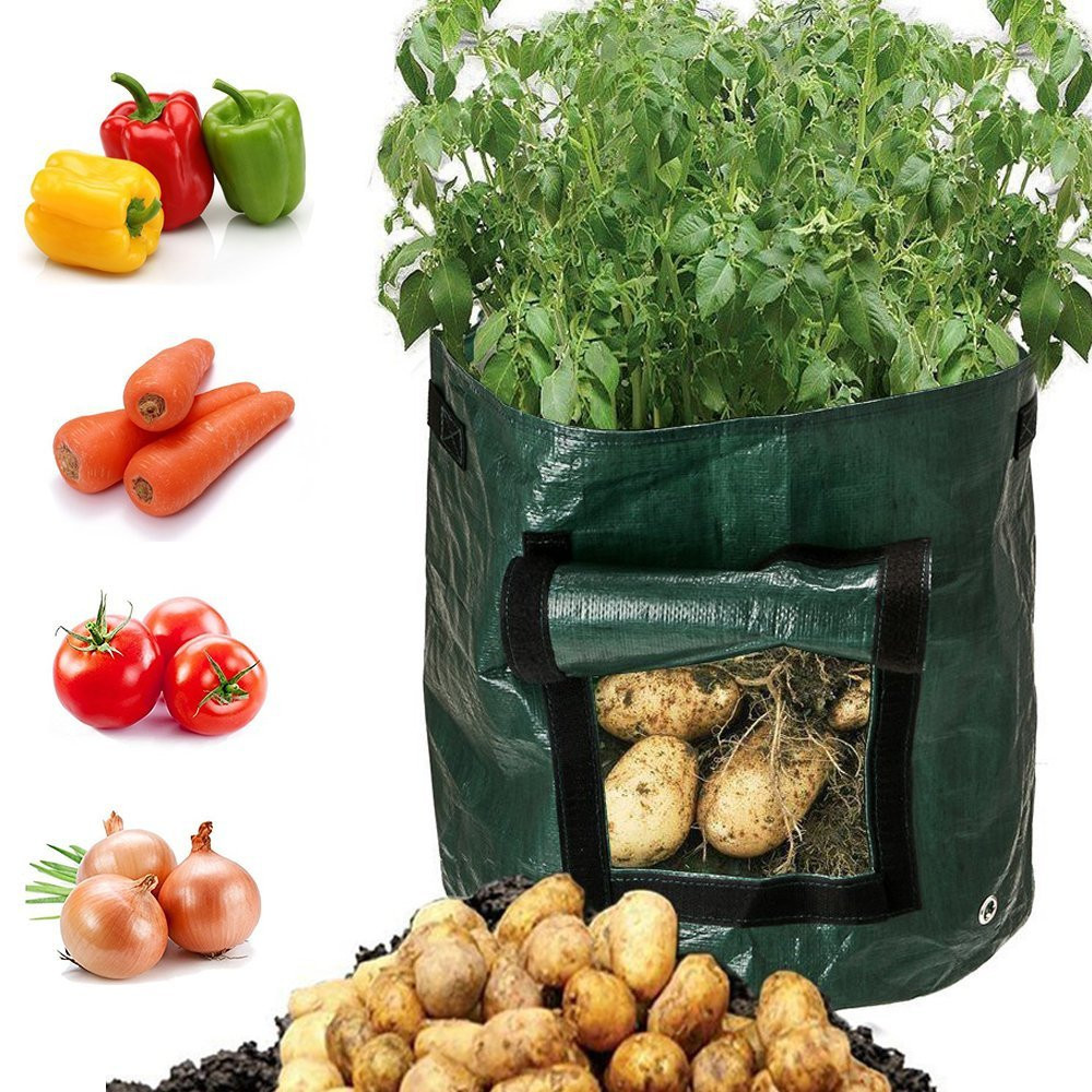 Reusable Potato Planting Bag with Viewing Window