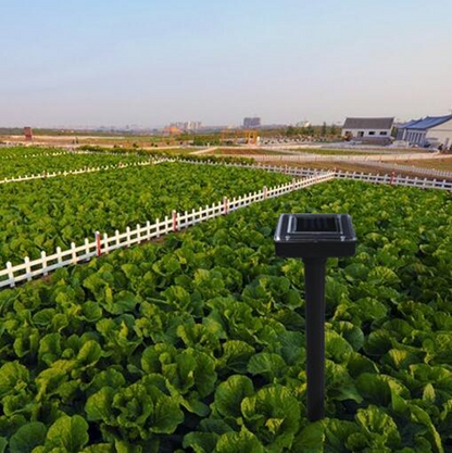 Solar-Operated Snake and Pest Repeller, Ultrasonic Technology