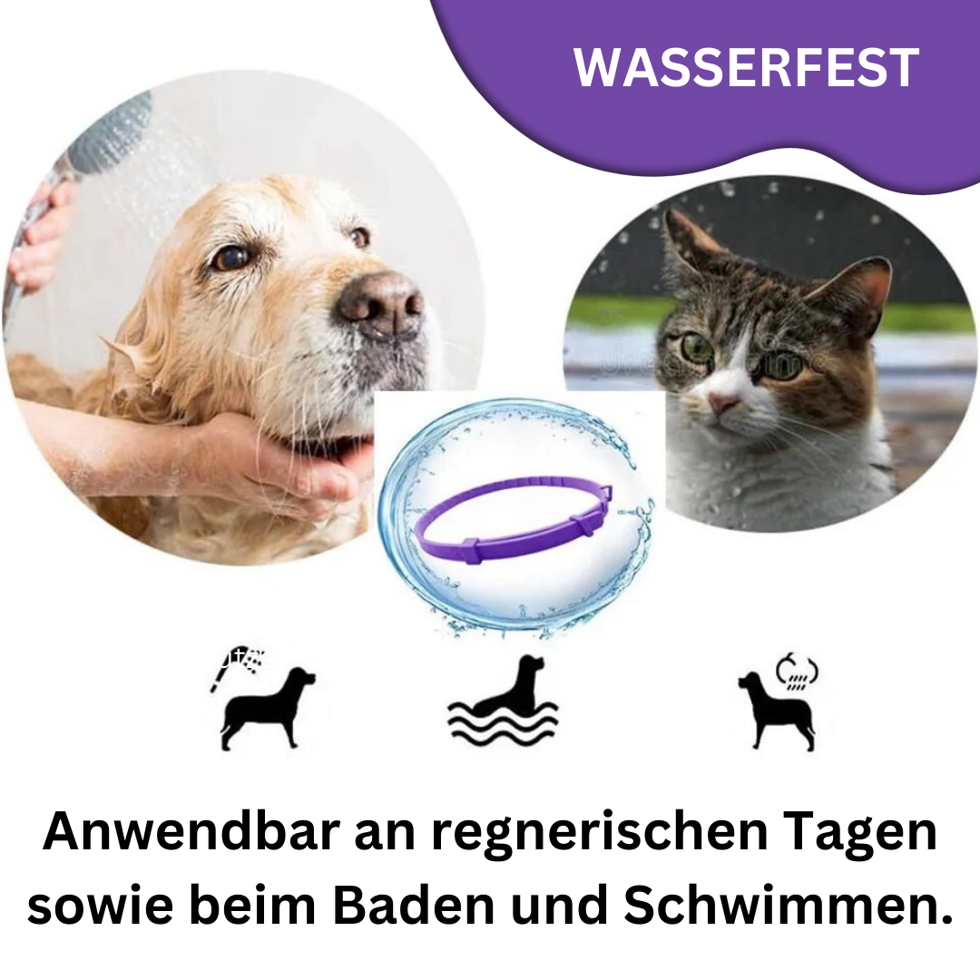 Calming Pheromone Collar, Soothing Solution