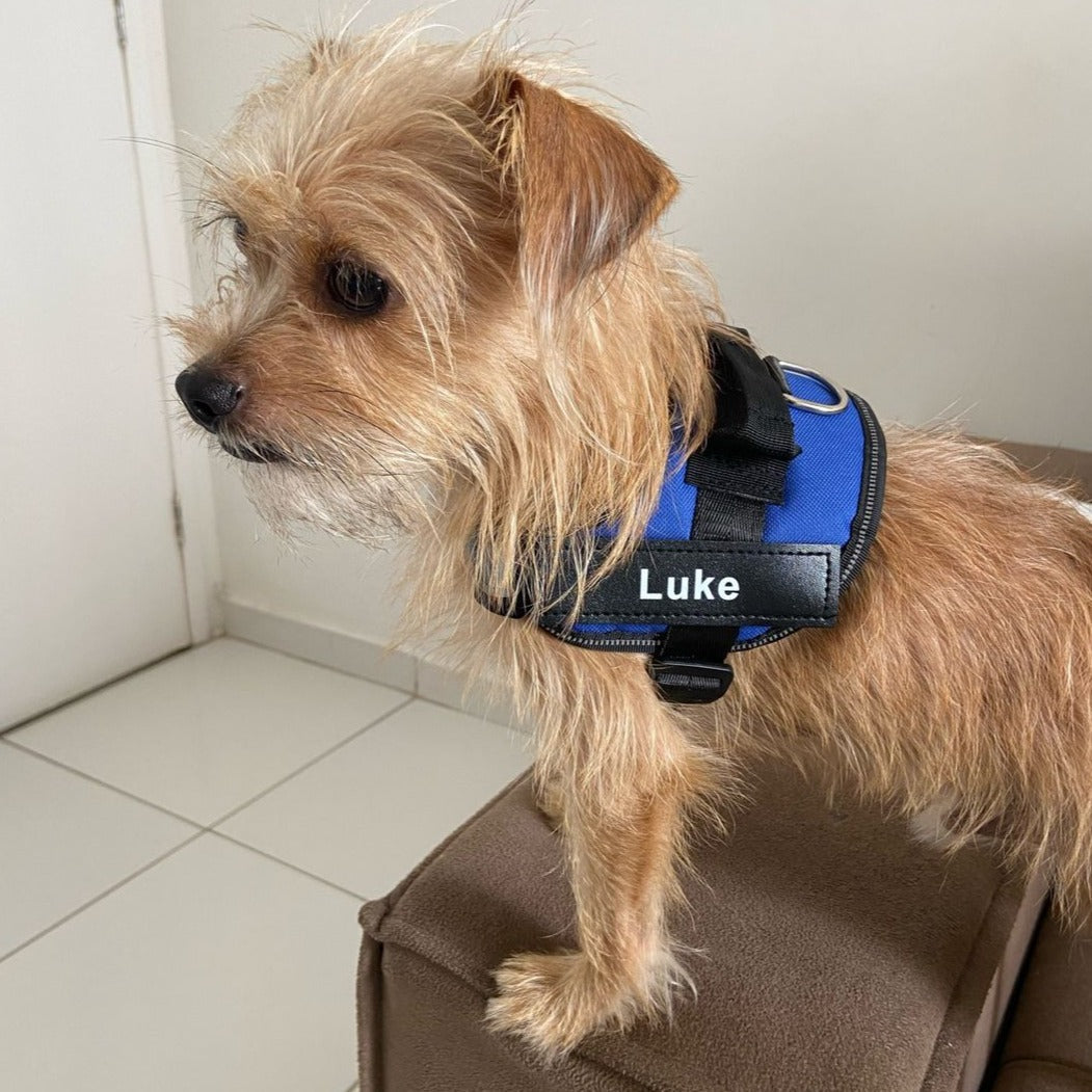 Personalized No-Pull Dog Harness  Waterproof, Reflective & Customizable