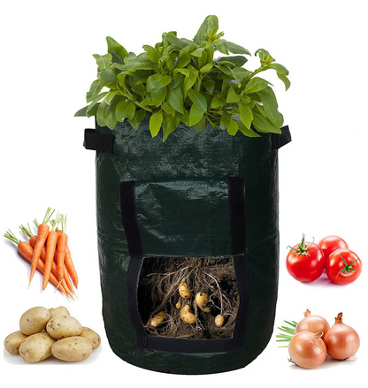 Reusable Potato Planting Bag with Viewing Window