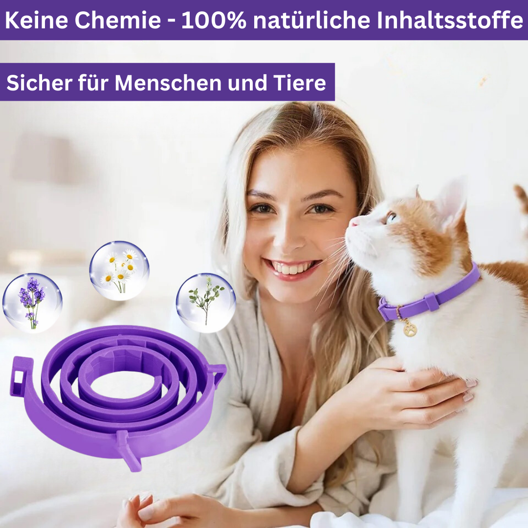 Calming Pheromone Collar, Soothing Solution