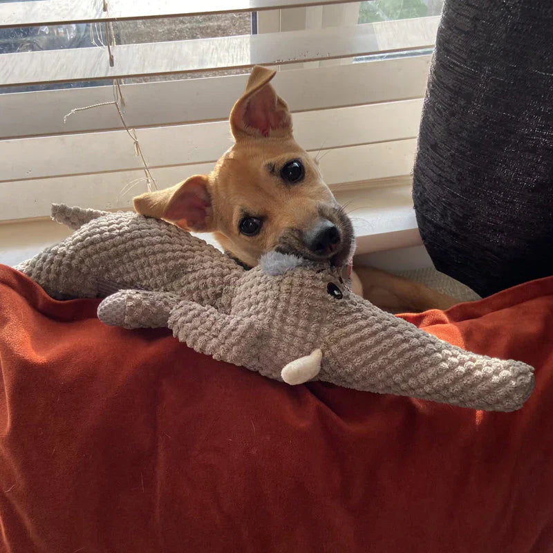 Durable Dog Toy, Designed for Strong Teeth