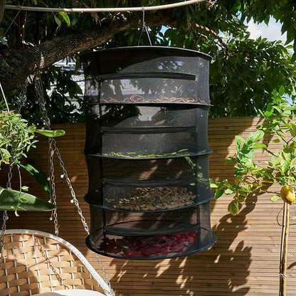 Foldable Drying Rack, Multi-Tier Mesh Design for Efficient Drying