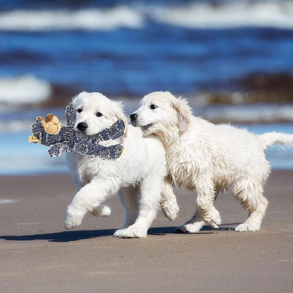 Indestructible Robust Bear –Durable Plush Toy for Aggressive Chewers