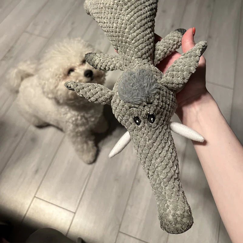 Durable Dog Toy, Designed for Strong Teeth