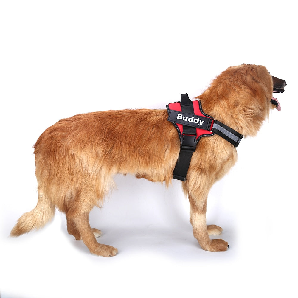 Personalized No-Pull Dog Harness  Waterproof, Reflective & Customizable