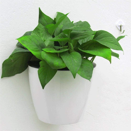 Modern Self-Watering Hanging Planter, Wall-Mounted Design