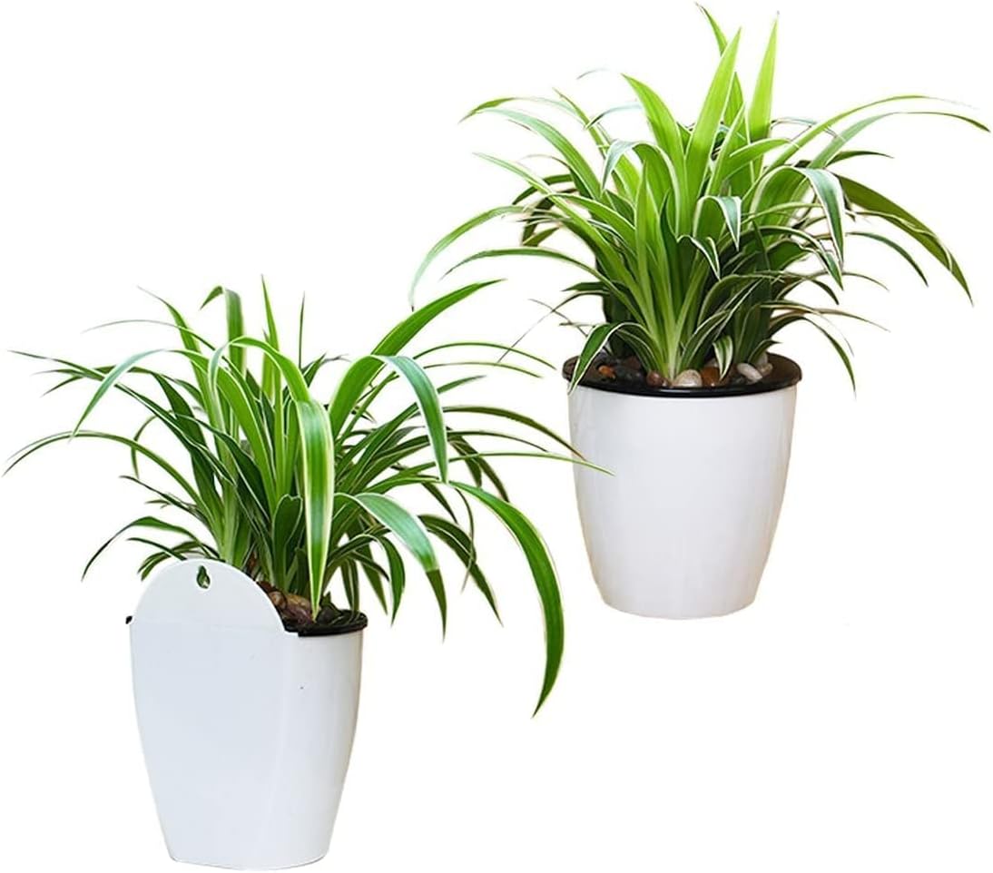 Modern Self-Watering Hanging Planter, Wall-Mounted Design