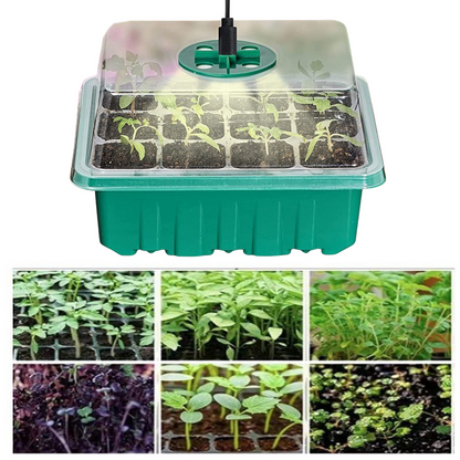 Plant Growth Starter Kit, Complete with Lighting