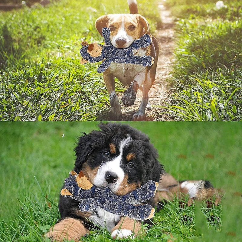 Indestructible Robust Bear –Durable Plush Toy for Aggressive Chewers