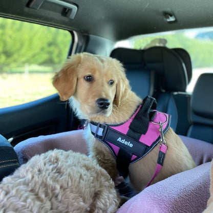 Personalized No-Pull Dog Harness  Waterproof, Reflective & Customizable