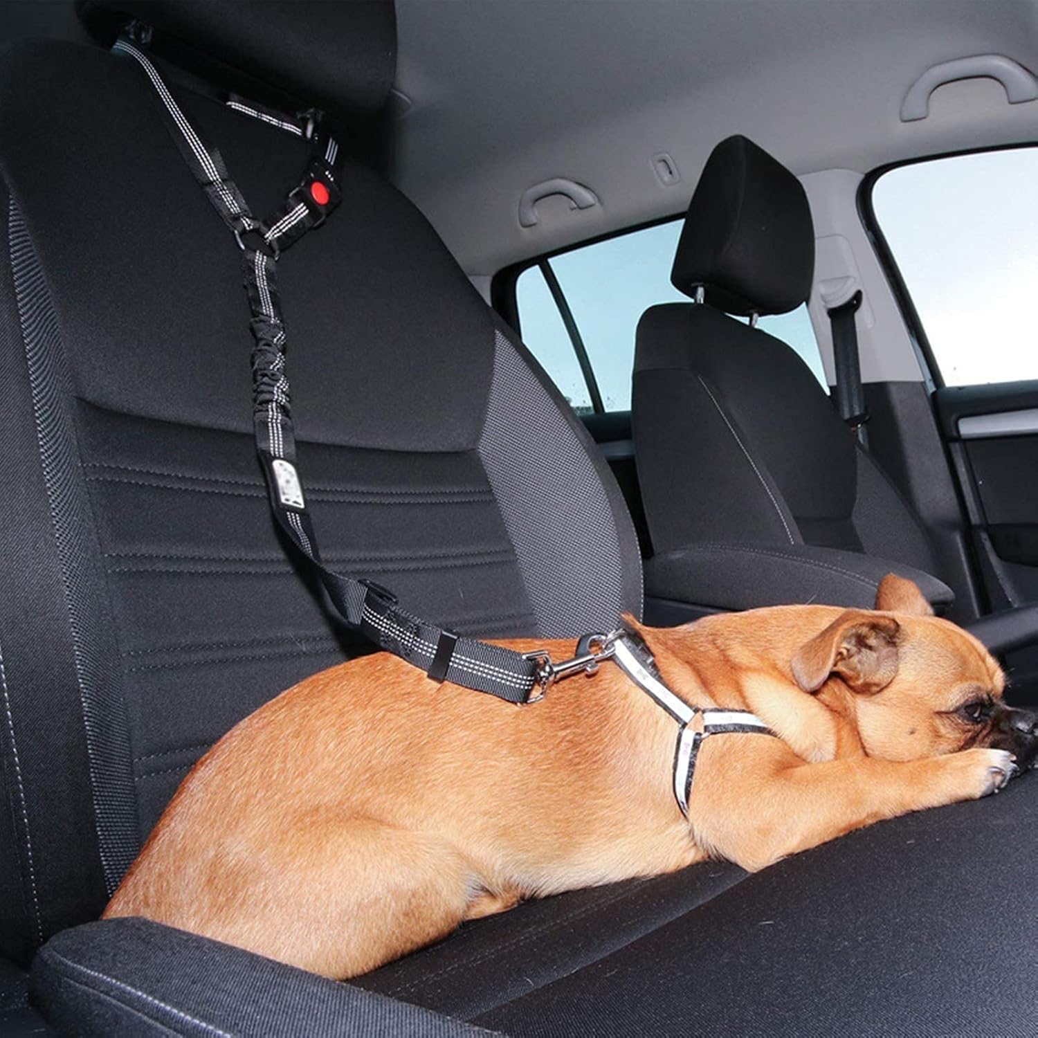 Secure Dog Restraint, Adjustable Fit
