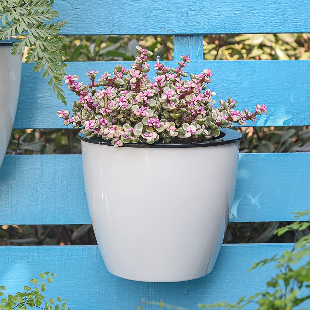 Modern Self-Watering Hanging Planter, Wall-Mounted Design