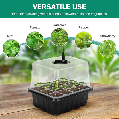 Plant Growth Starter Kit, Complete with Lighting