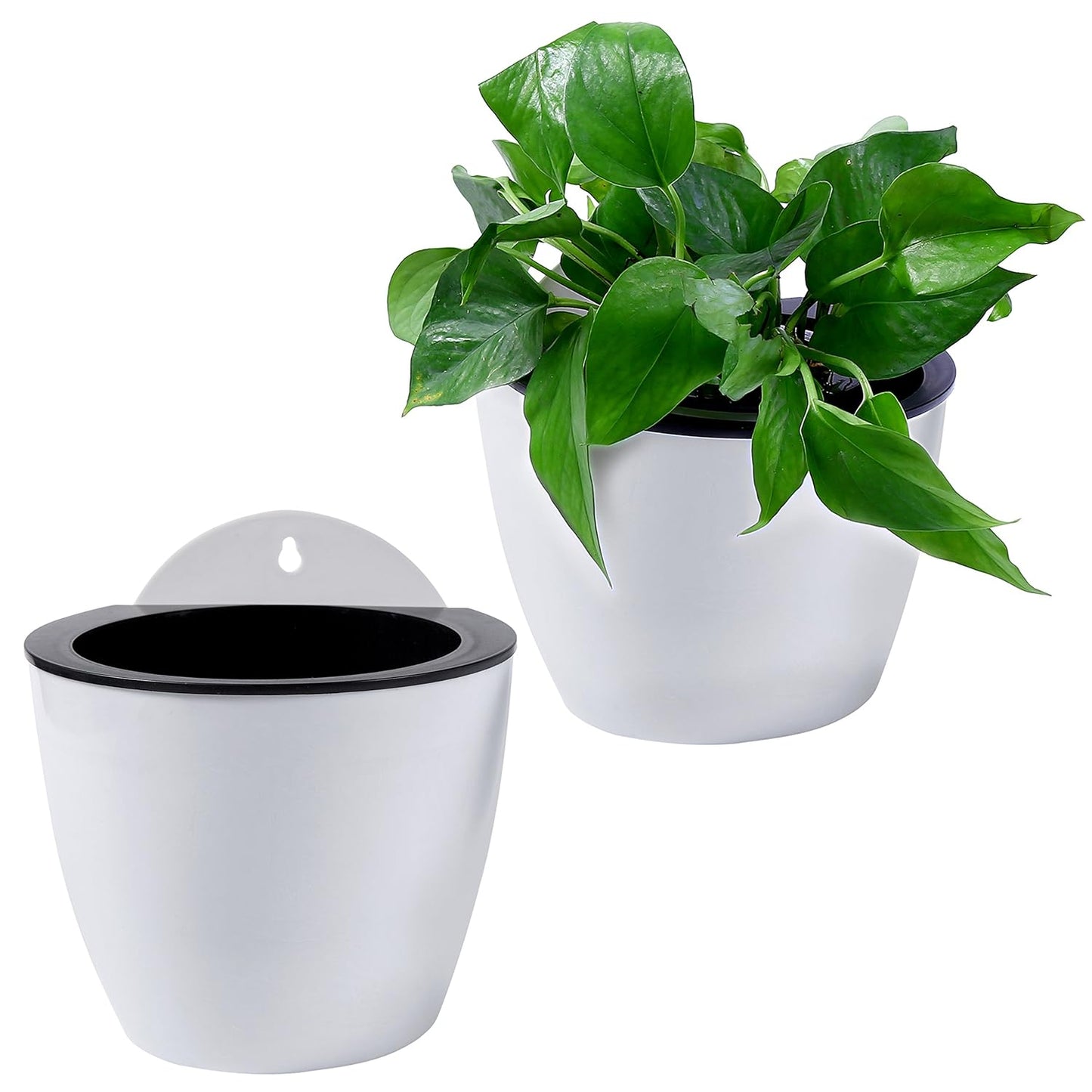 Modern Self-Watering Hanging Planter, Wall-Mounted Design