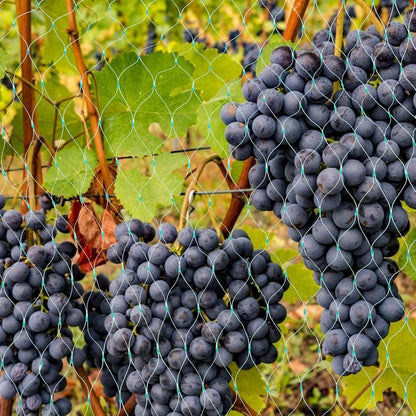 Garden Plant Protection Net, Green Barrier Against Pests and Animals