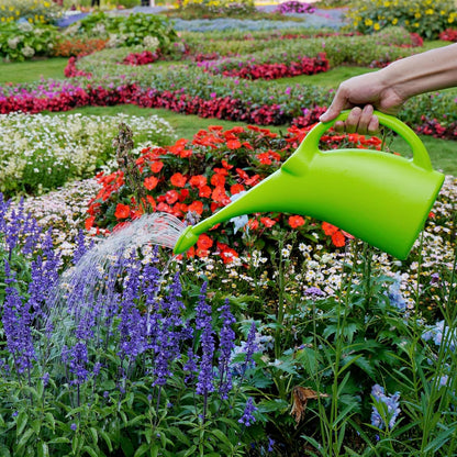 Efficient Watering Can, User-Friendly Design