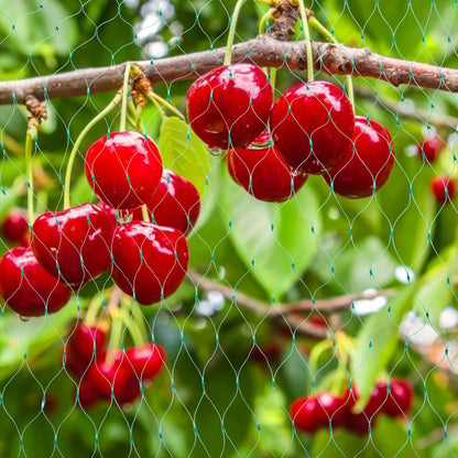 Garden Plant Protection Net, Green Barrier Against Pests and Animals
