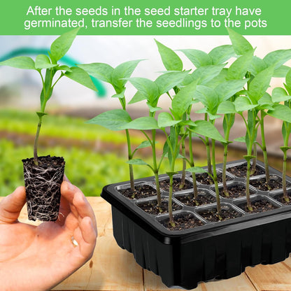 Plant Growth Starter Kit, Complete with Lighting