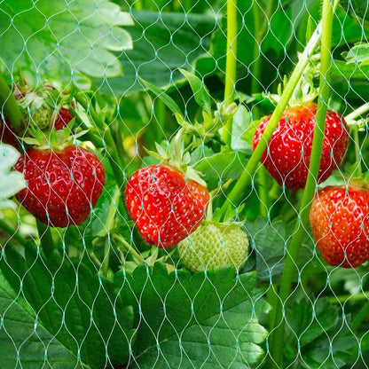 Garden Plant Protection Net, Green Barrier Against Pests and Animals