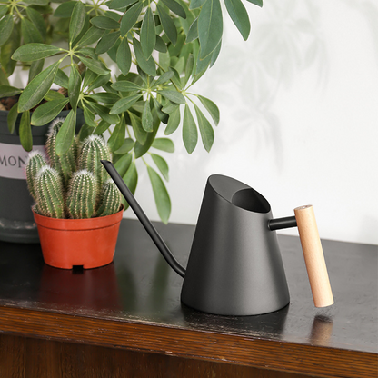 Stylish Watering Can, Wooden Handle Design