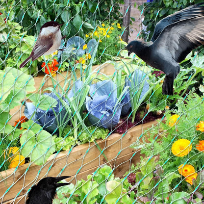 Garden Plant Protection Net, Green Barrier Against Pests and Animals