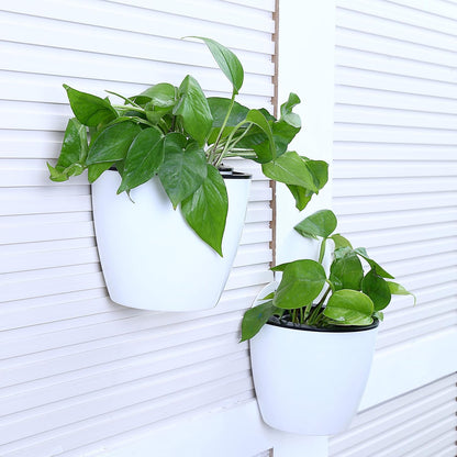 Modern Self-Watering Hanging Planter, Wall-Mounted Design