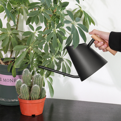 Stylish Watering Can, Wooden Handle Design
