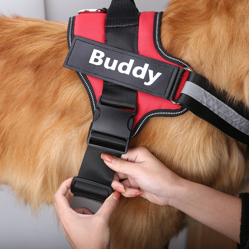 Personalized No-Pull Dog Harness  Waterproof, Reflective & Customizable