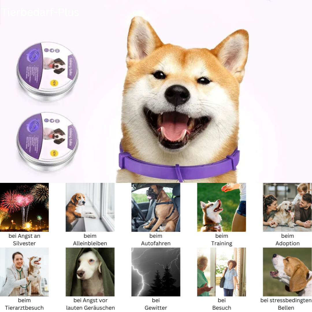 Calming Pheromone Collar, Soothing Solution