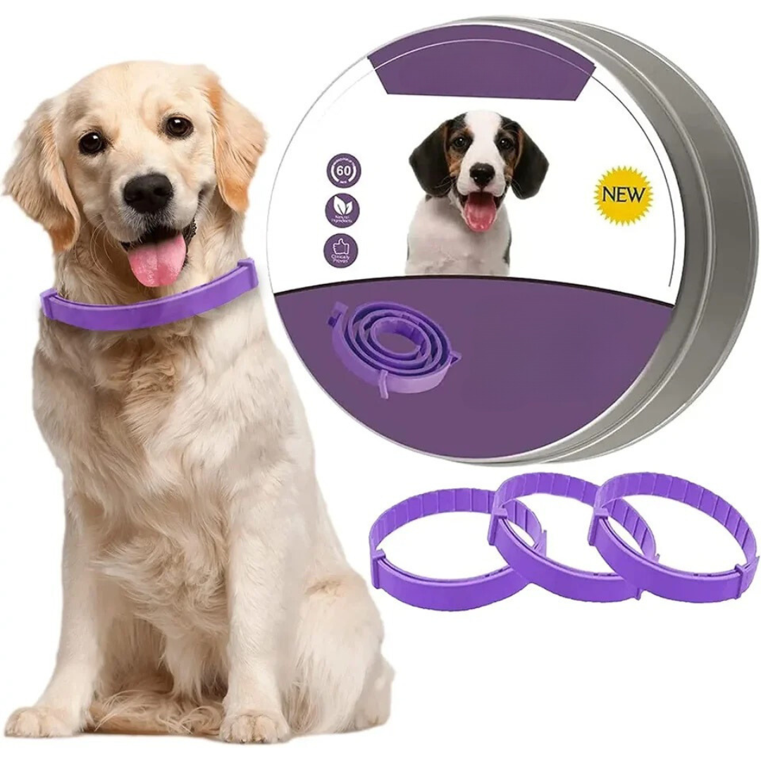 Calming Pheromone Collar, Soothing Solution