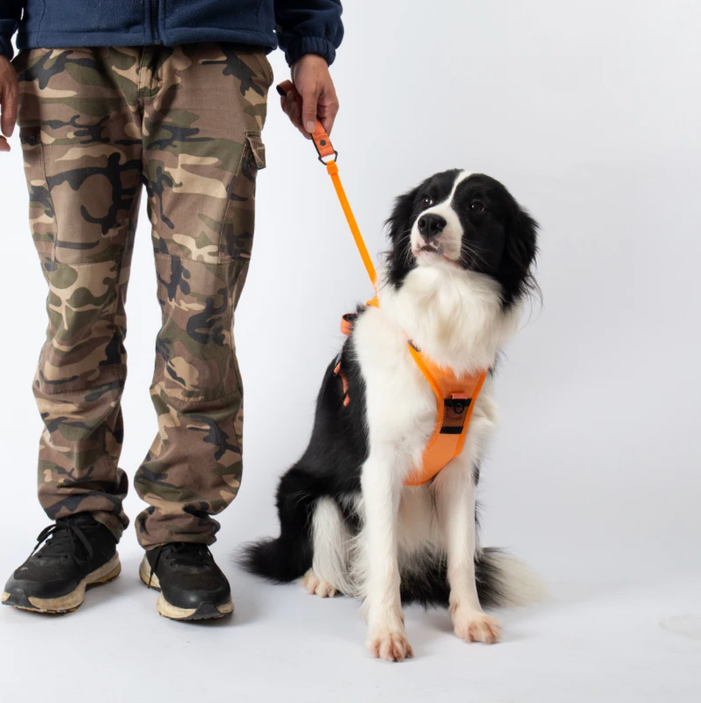 3 in 1 Dog Harness with Built-In Retractable Leash