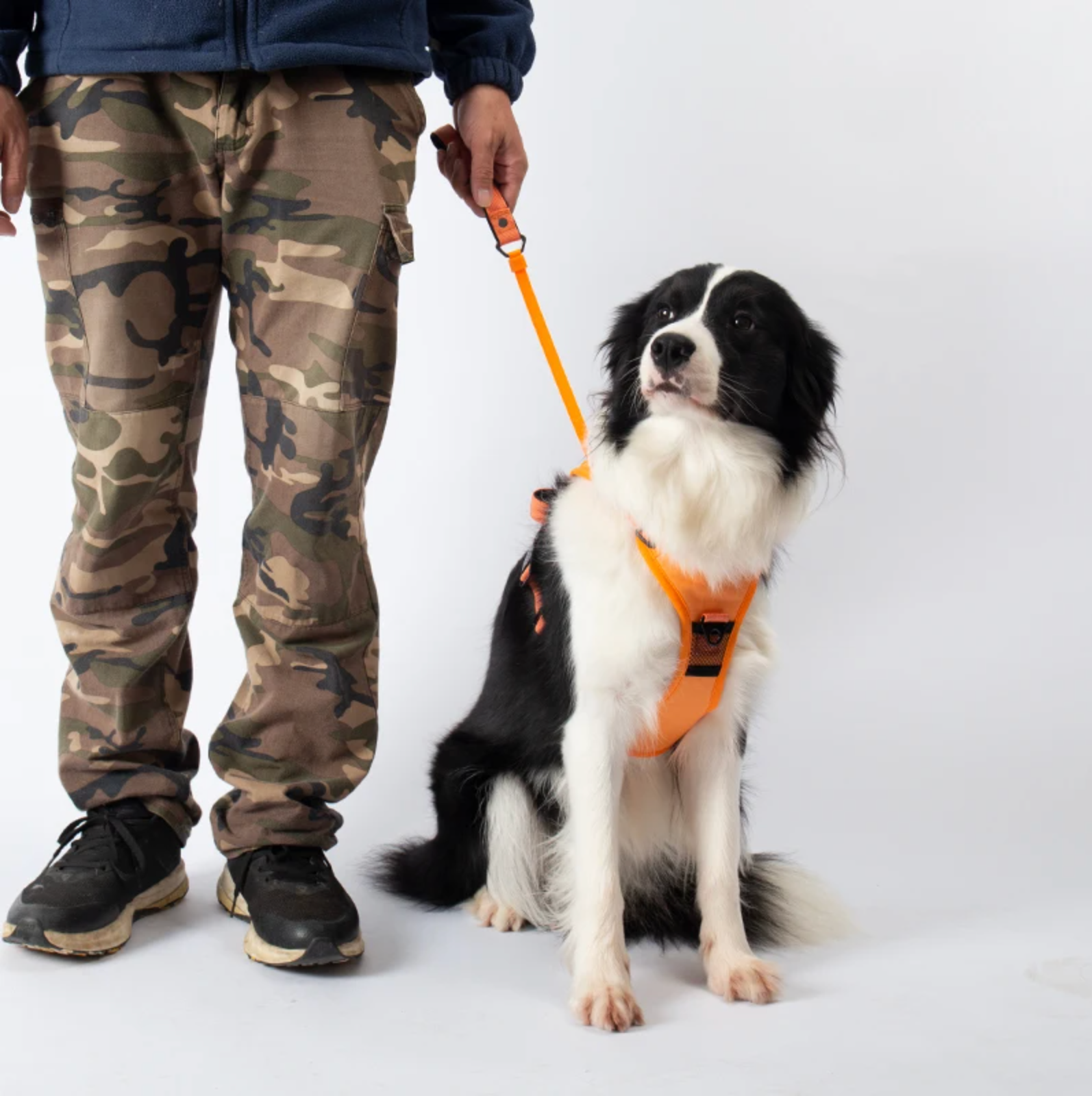 3 in 1 Dog Harness with Built-In Retractable Leash